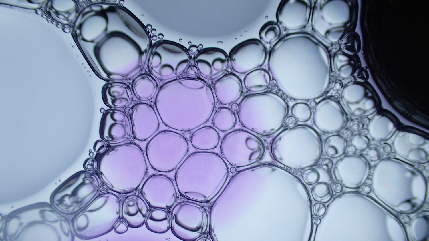 Liposomal vs food-derived spermidine: What the science actually says