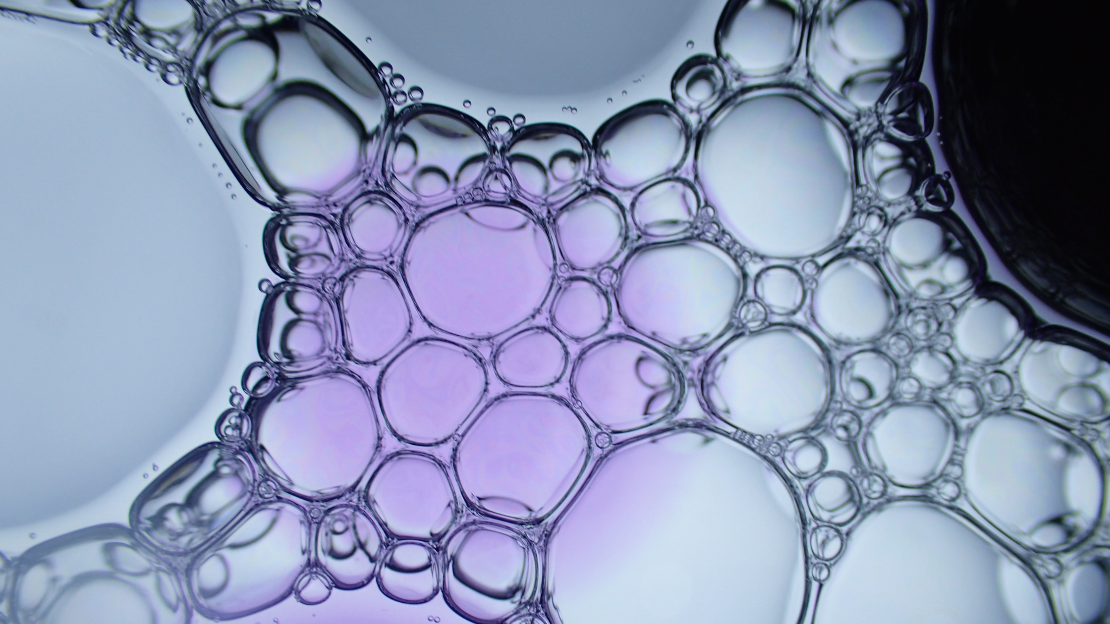 Liposomal vs food-derived spermidine: What the science actually says