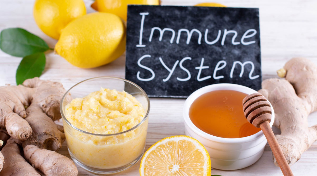How Spermidine Supports Immune Health As You Age
