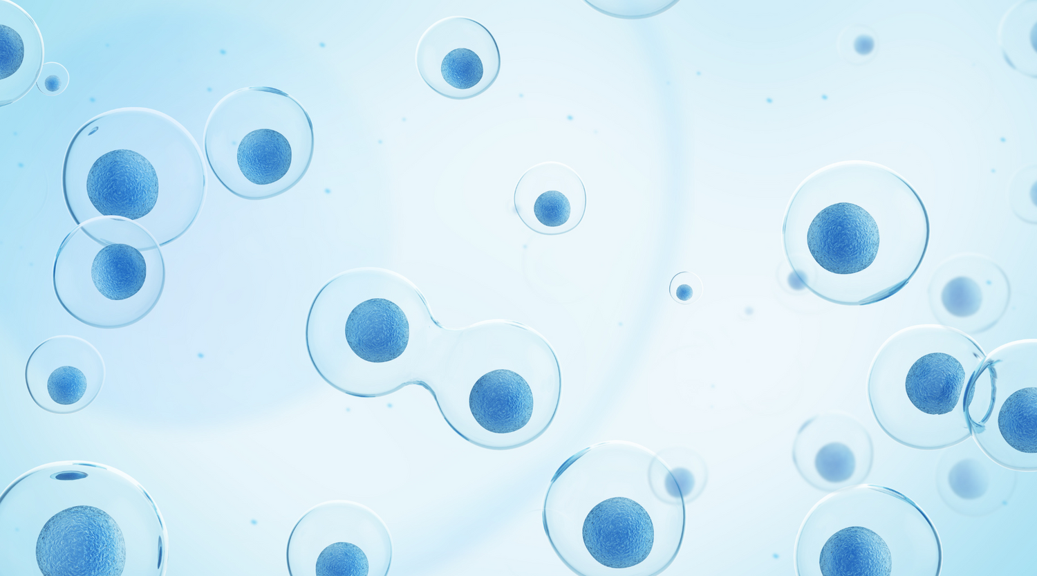 Stem Cell Exhaustion: Hallmark of Aging #8