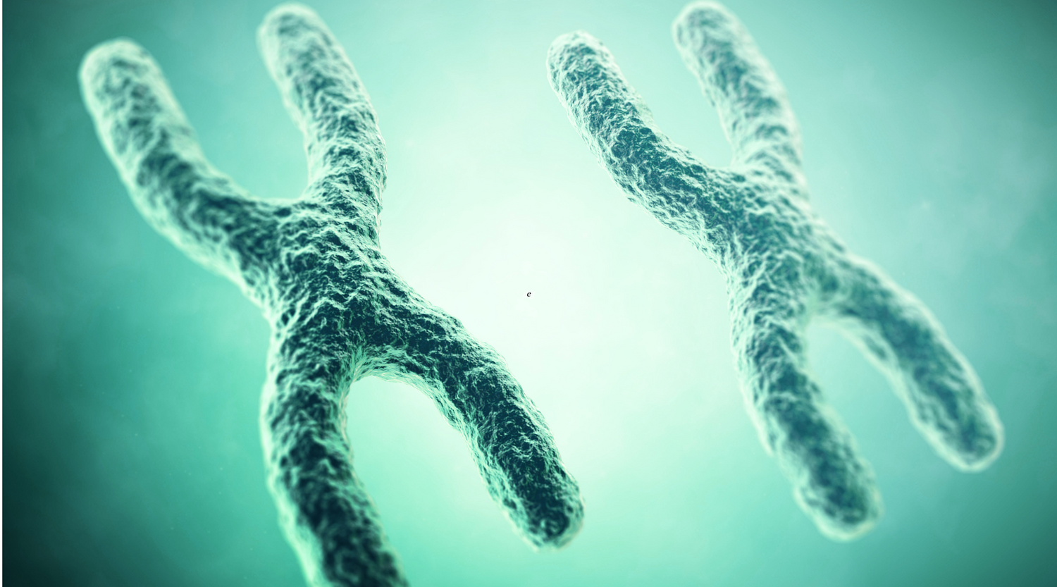 Telomere Attrition: Hallmark of Aging #2 | Oxford Healthspan