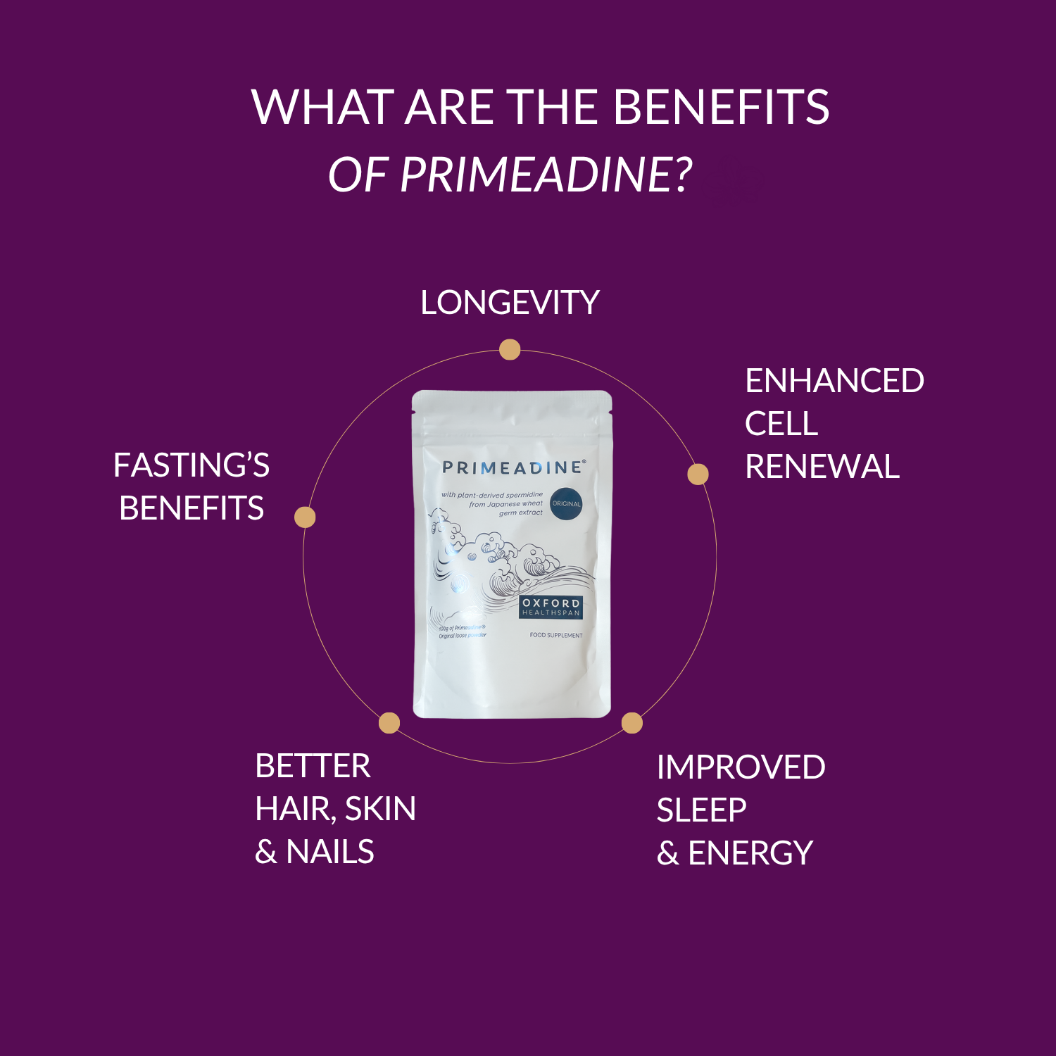 Primeadine® Original Spermidine Powder - 90 Day Supply