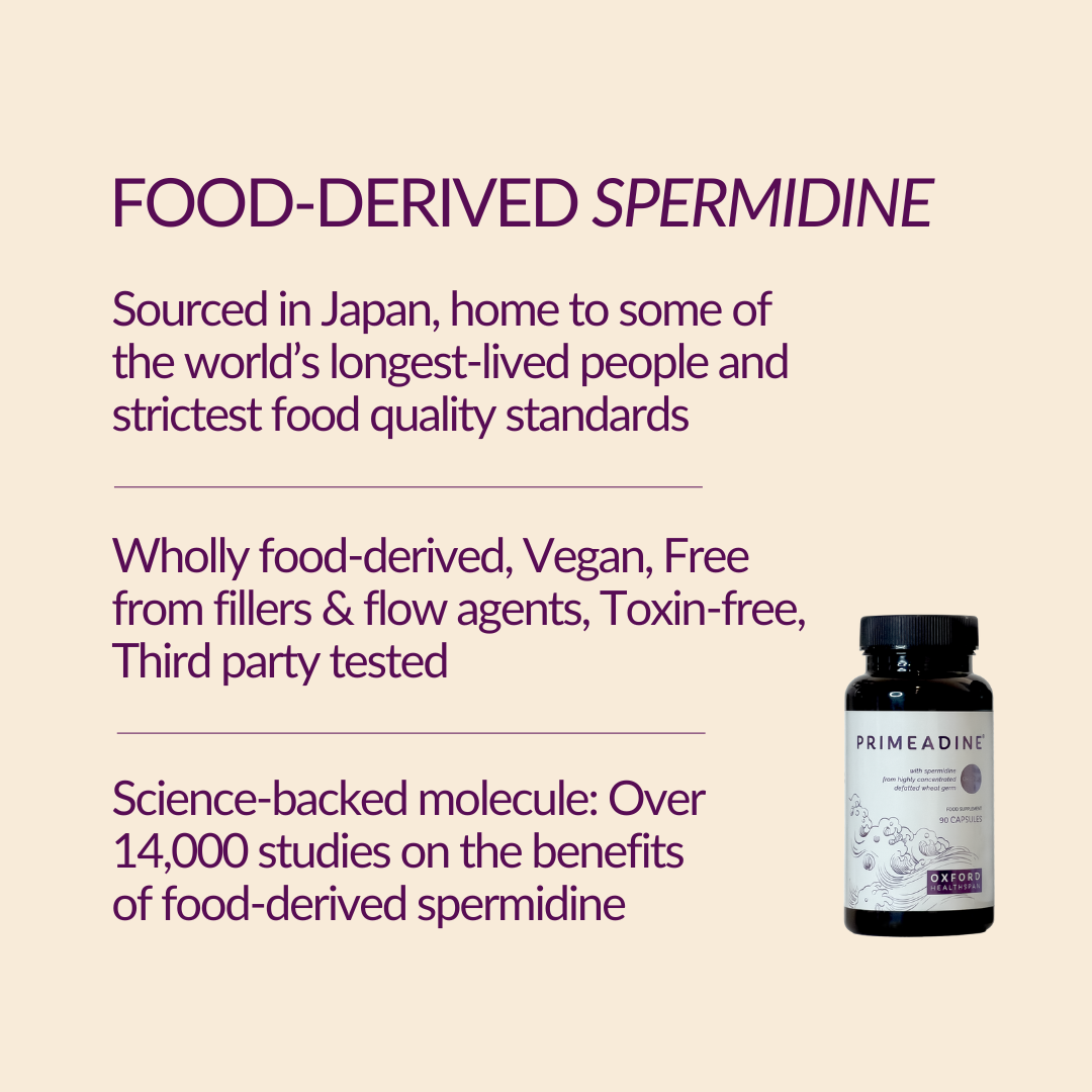 Primeadine® Original Spermidine Supplement - 1 Bottle / 30 Day Supply