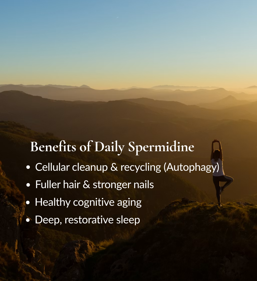 Primeadine® GF Gluten-Free Whole-Food Spermidine Supplement - 1 Bottle / 1 Month Supply