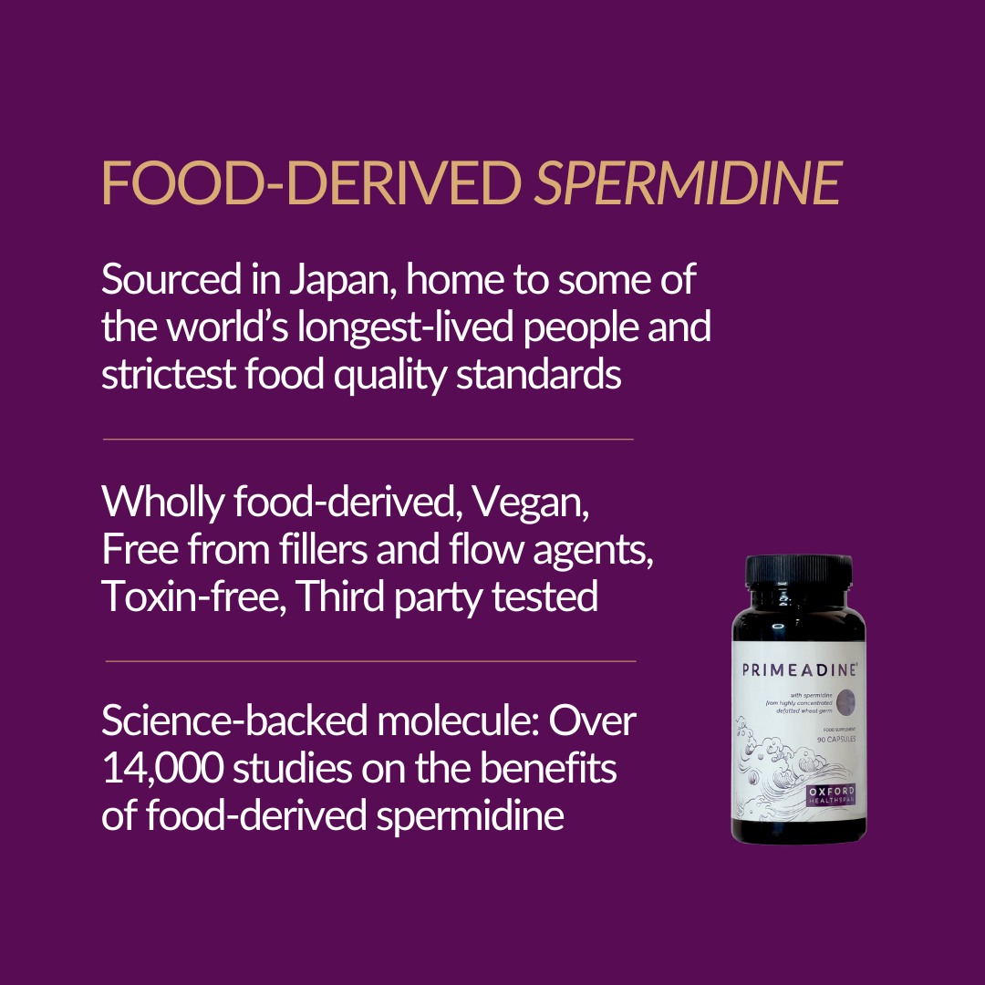 Primeadine® Original Spermidine Supplement - 3-Bottle Bundle / 90 Day Supply