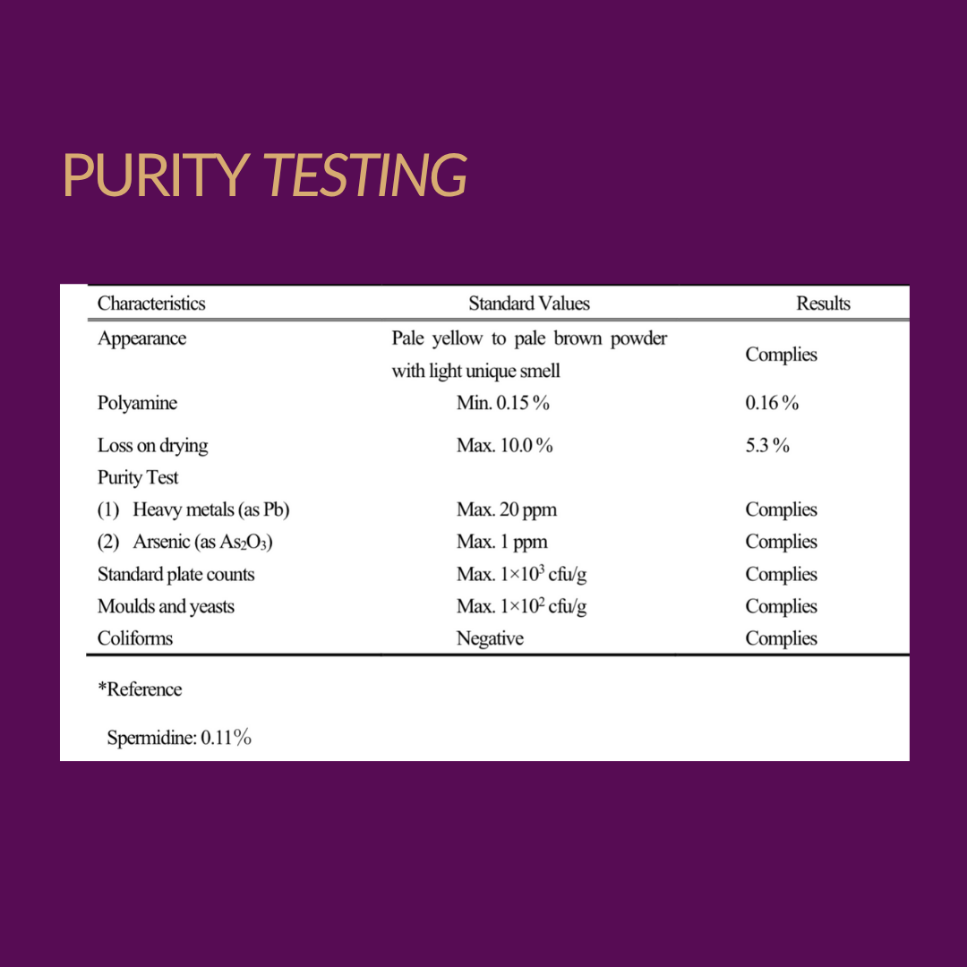 Primeadine® Original Spermidine Powder - 90 Day Supply