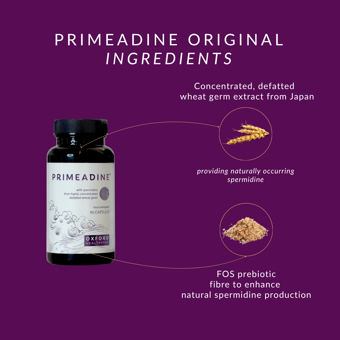 Supplément de spermidine Primeadine® Original - 2 flacons / 60 jours