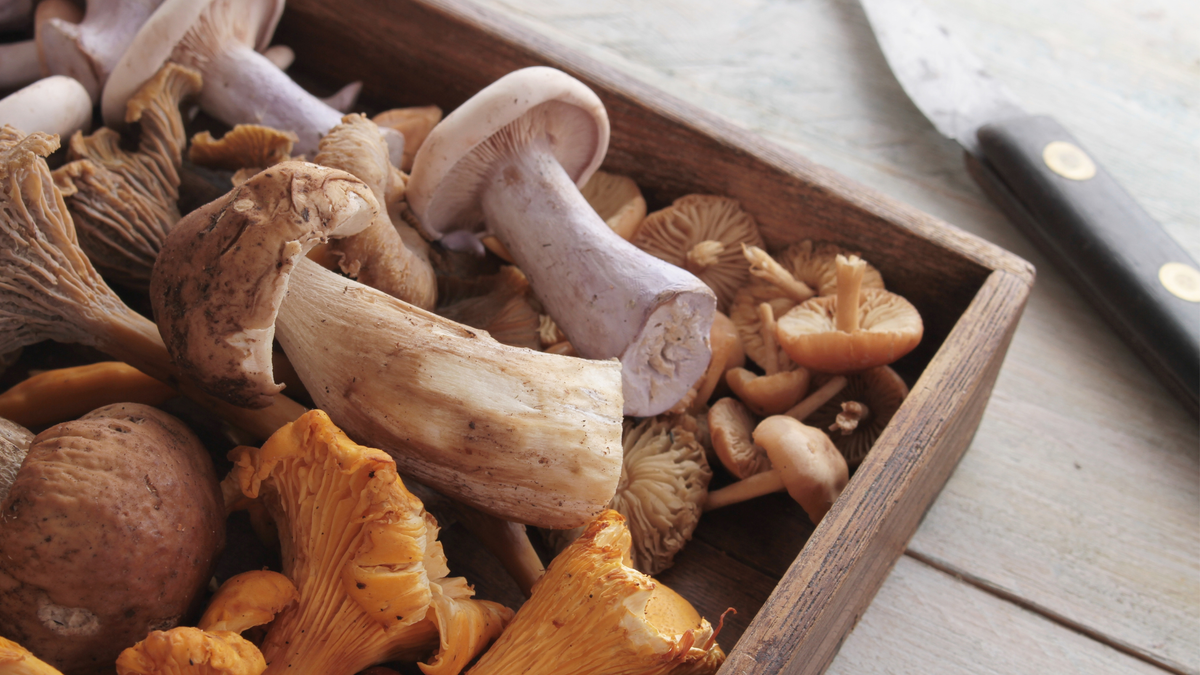 October's Harvest: Seasonal Foods for Longevity