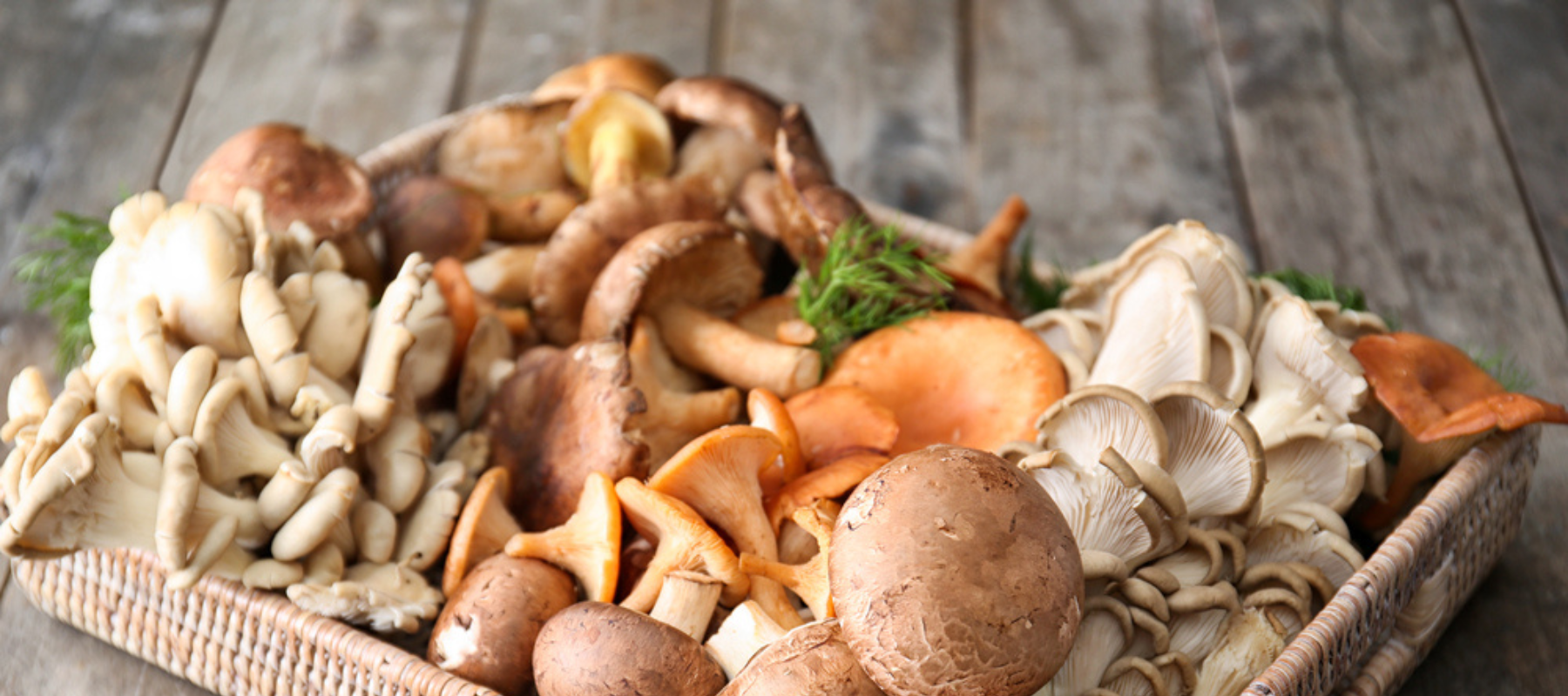 Eat your Spermidine: Shiitake Mushroom Stir Fry Recipe | Oxford Healthspan