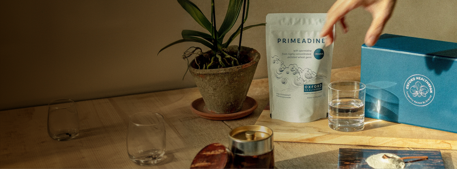 How much spermidine do you actually need?