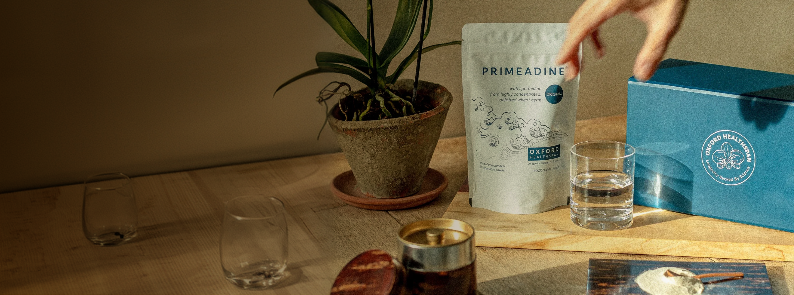 How much spermidine do you actually need?