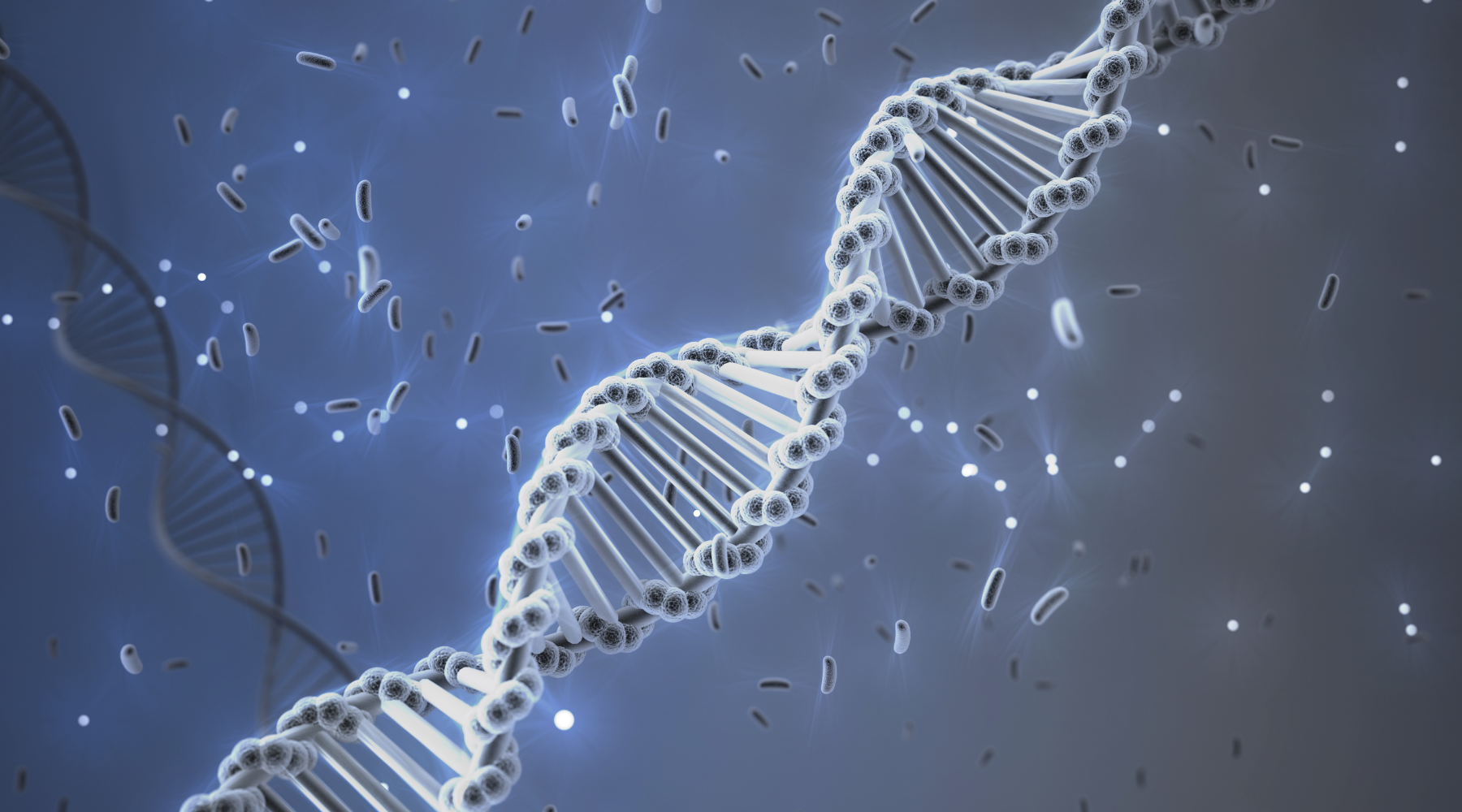 Genomic Instability: Hallmark of Aging #1 | Oxford Healthspan