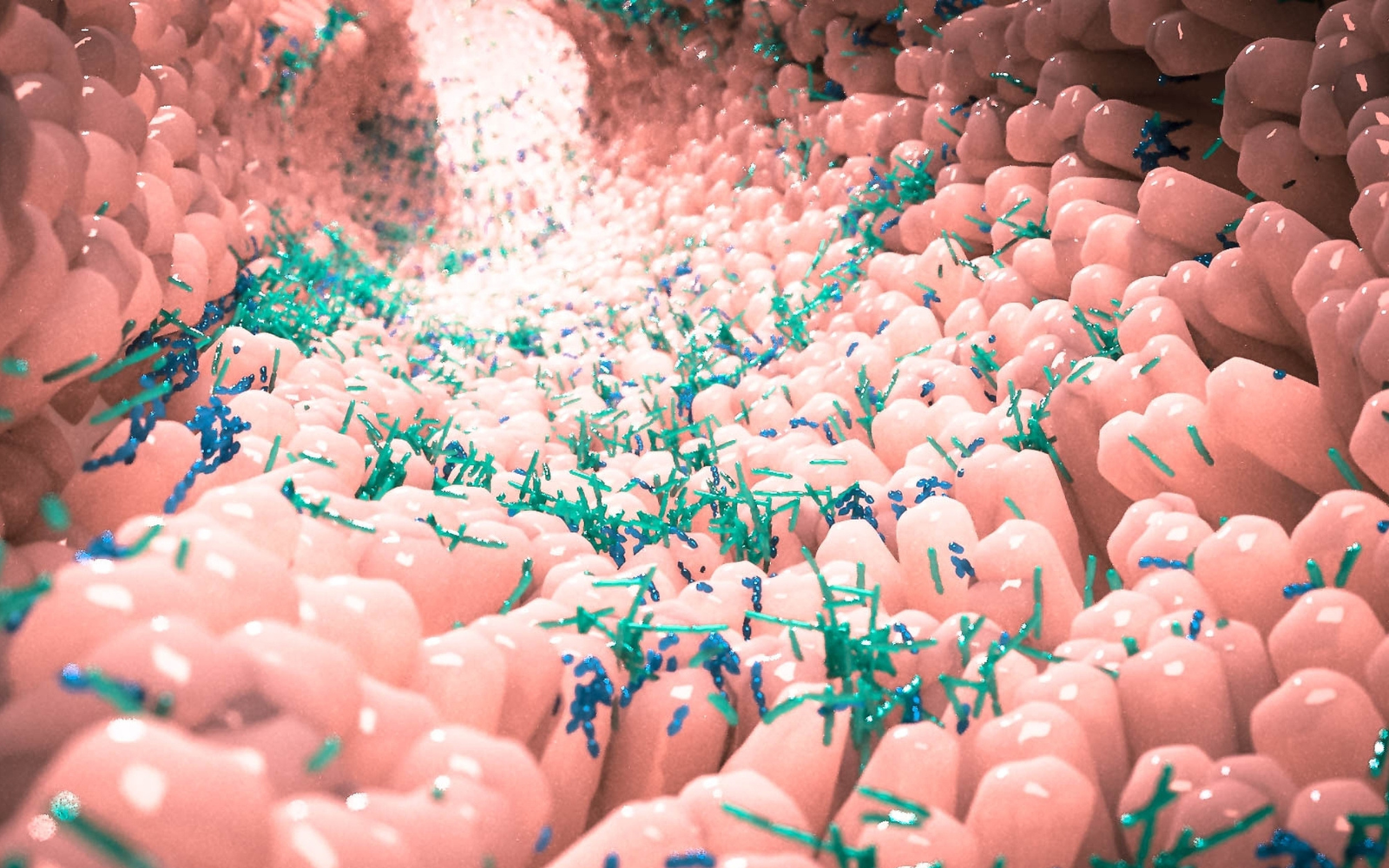 Gut Dysbiosis. Image shows gut biome | Oxford Healthspan