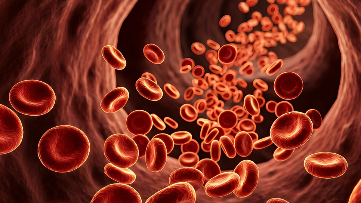 What Two New Studies Reveal About Dietary Spermidine
