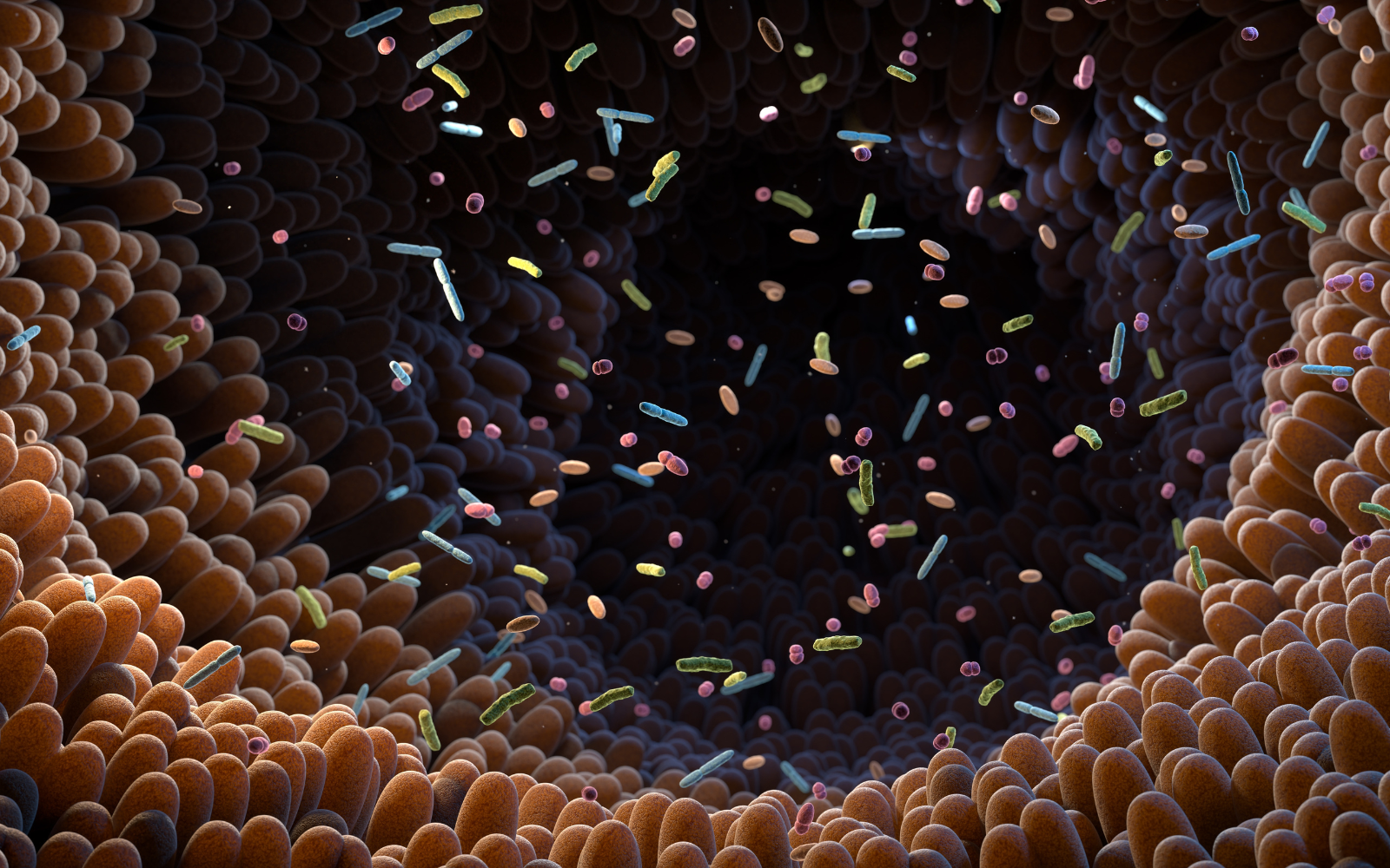 Spermidine and the gut-brain connection | Oxford Healthspan