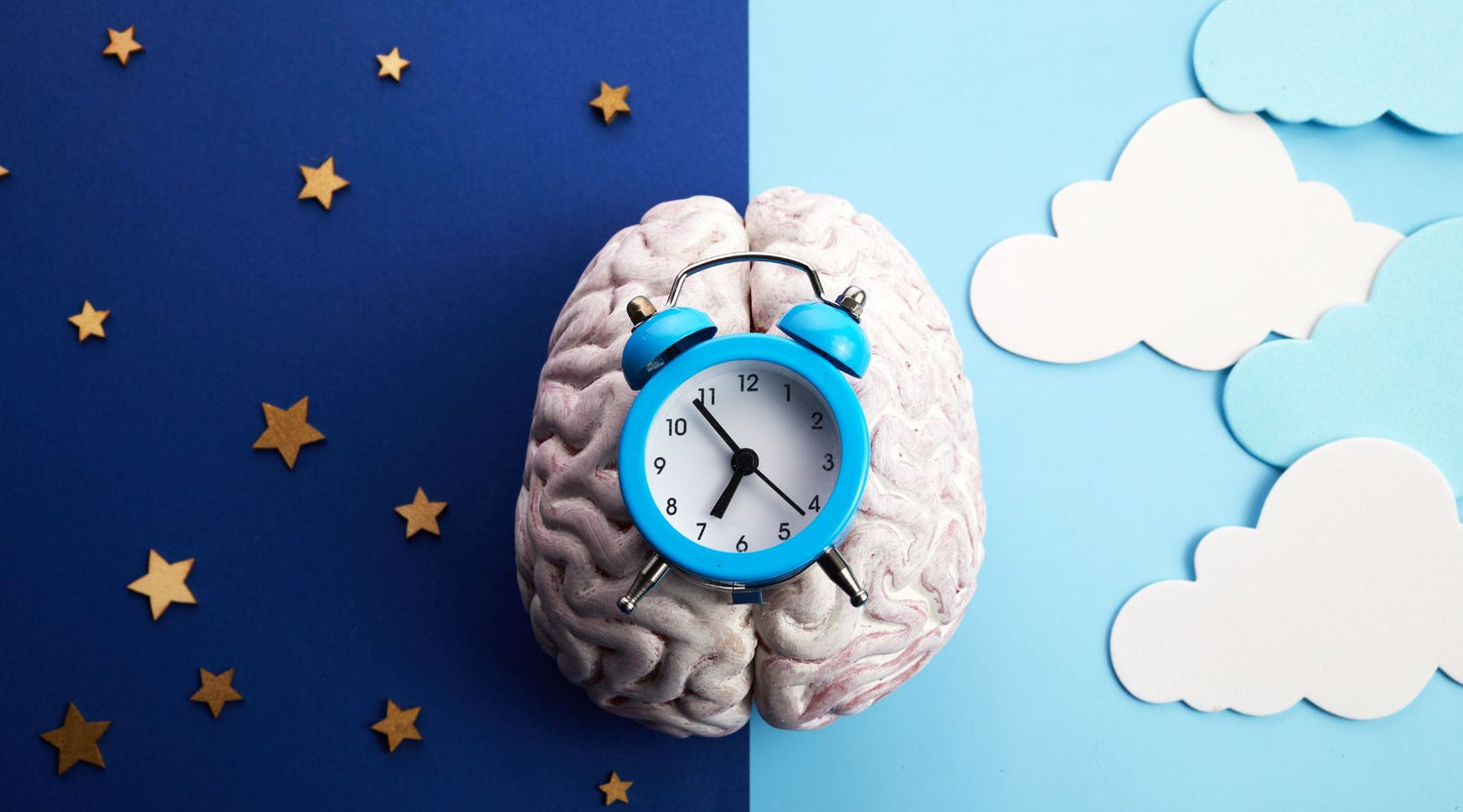 Sleep and brain health | Oxford Healthspan