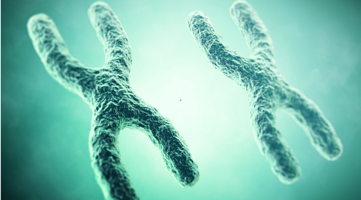 Telomere Attrition: Hallmark of Aging #2 | Oxford Healthspan