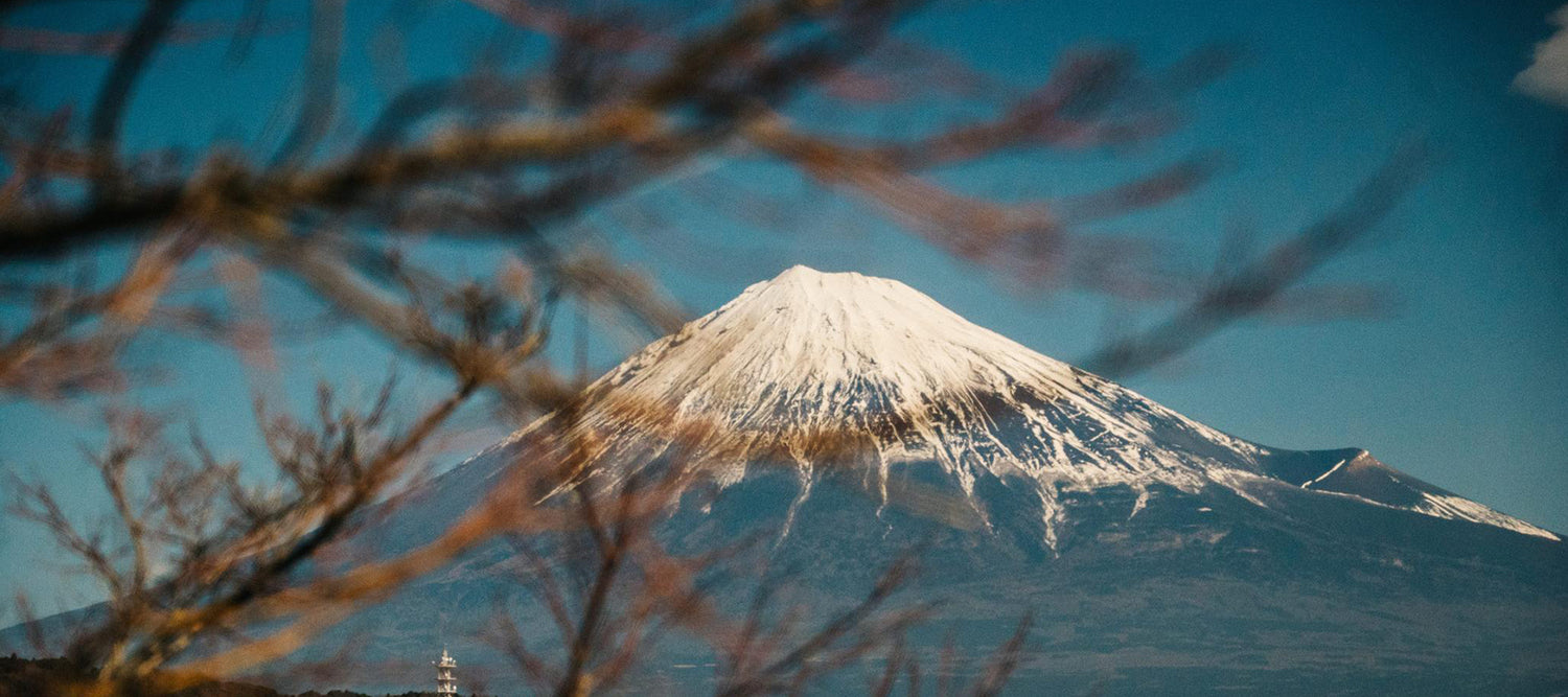 mount fuji in winter | Oxford Healthspan