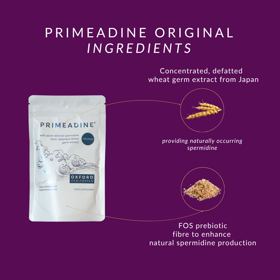 Primeadine® Original Spermidine Powder - 90 Day Supply
