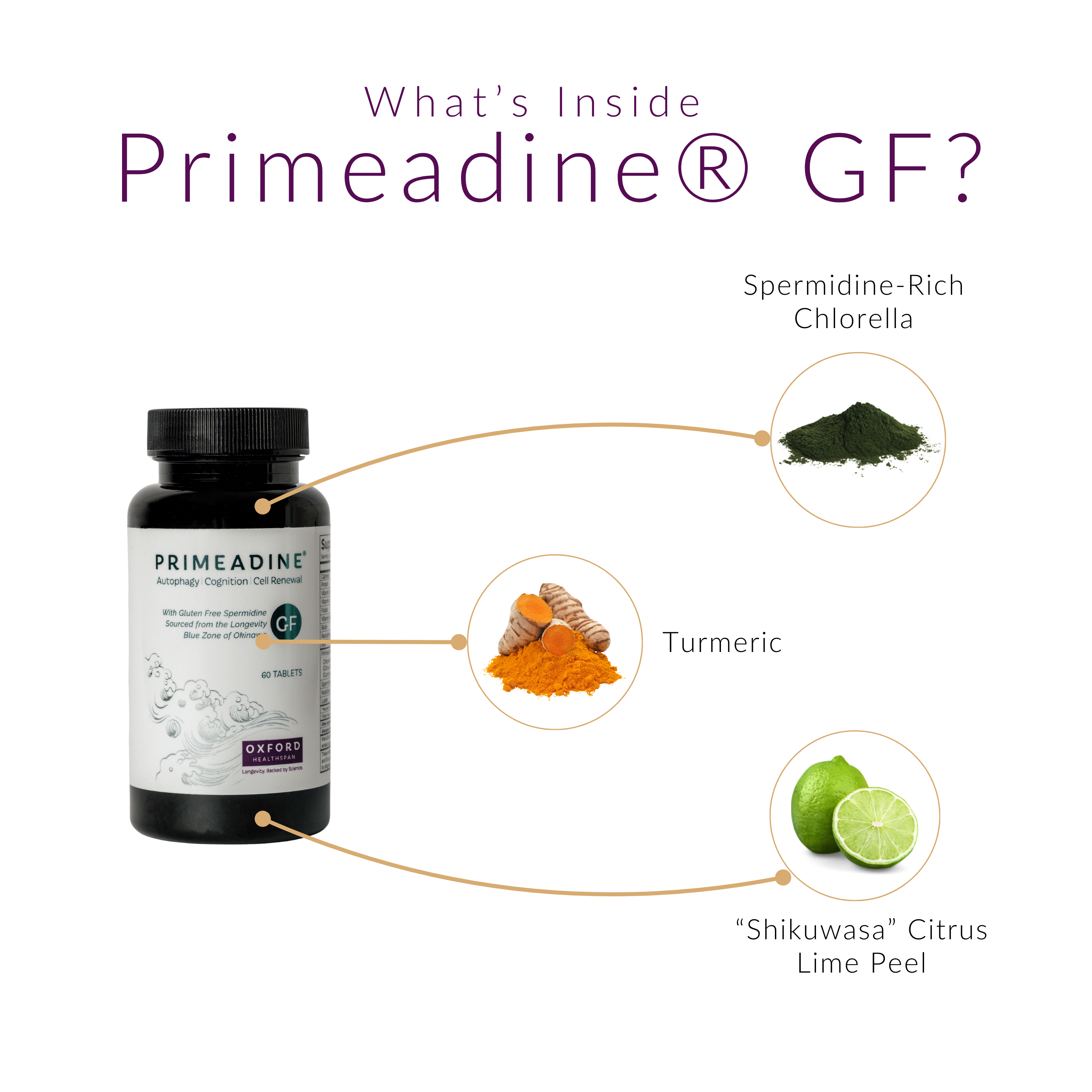 Primeadine® GF Gluten-Free Spermidine Supplement - 1 Bottle / 30 Day Supply