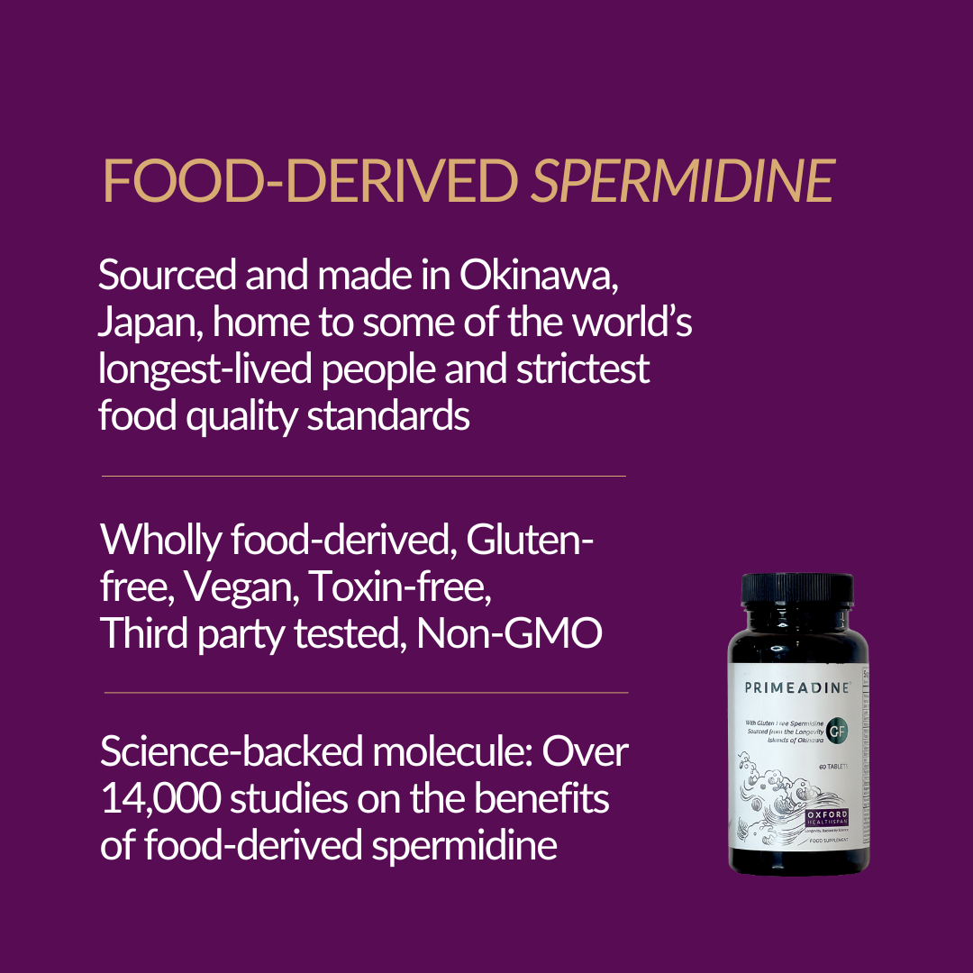Primeadine® GF Gluten-Free Spermidine Supplement - 3-Bottle Bundle / 90 Day Supply