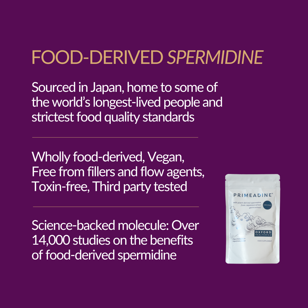 Primeadine® Original Spermidine Powder - 90 Day Supply