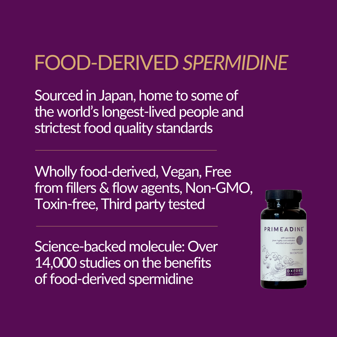 Primeadine® Original Spermidine Supplement - 1 Bottle /  30 Day Supply