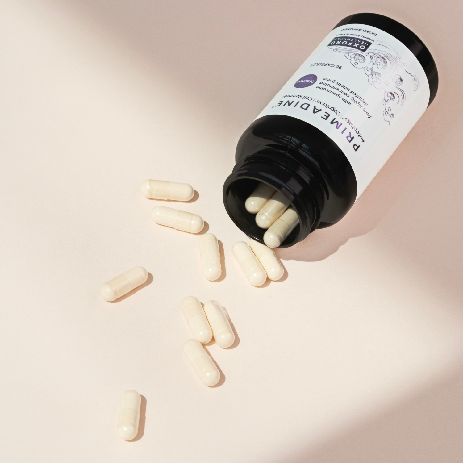 Primeadine® Original Spermidine Supplement - 1 Bottle /  30 Day Supply