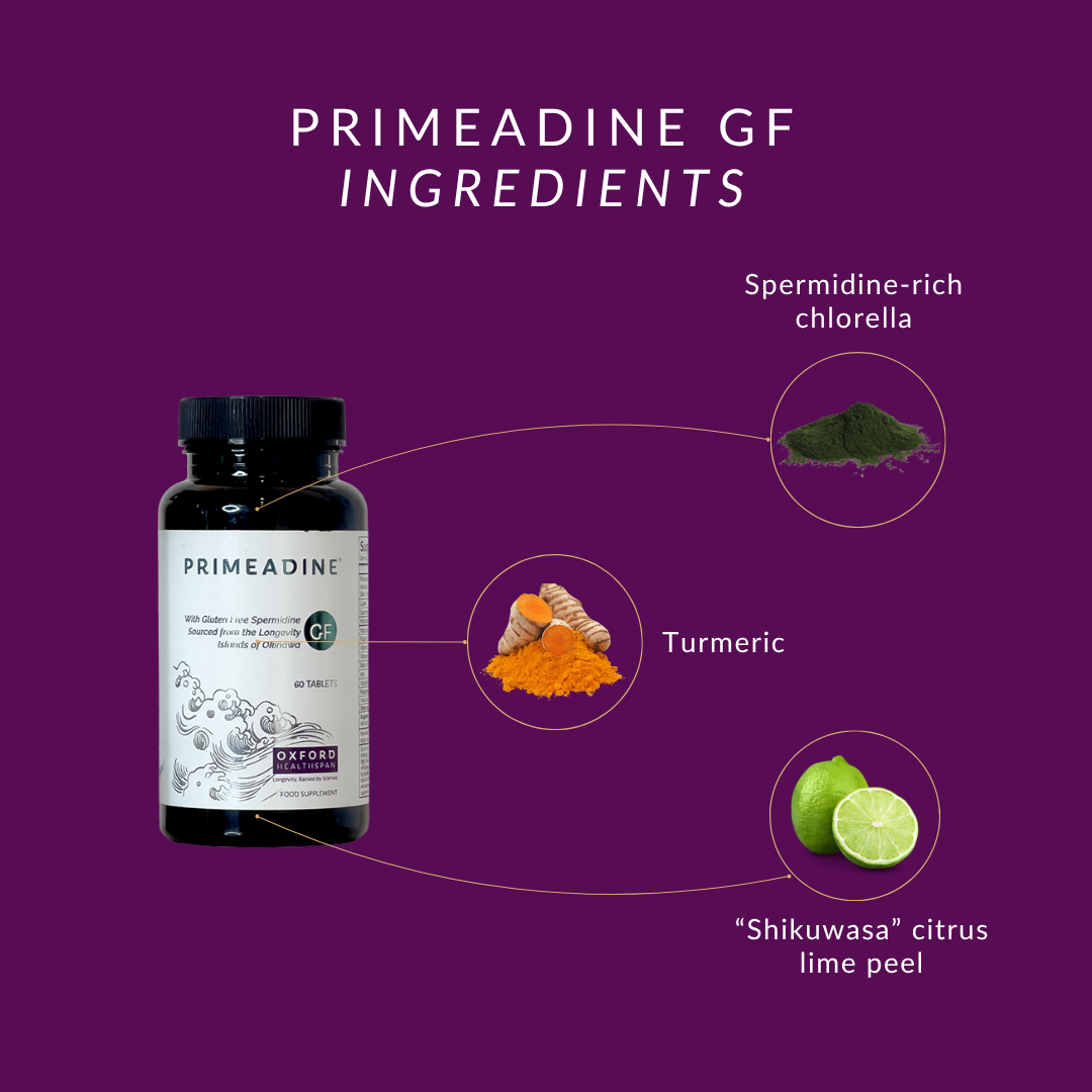 Primeadine® GF Gluten-Free Spermidine Supplement - 3-Bottle Bundle / 90 Day Supply