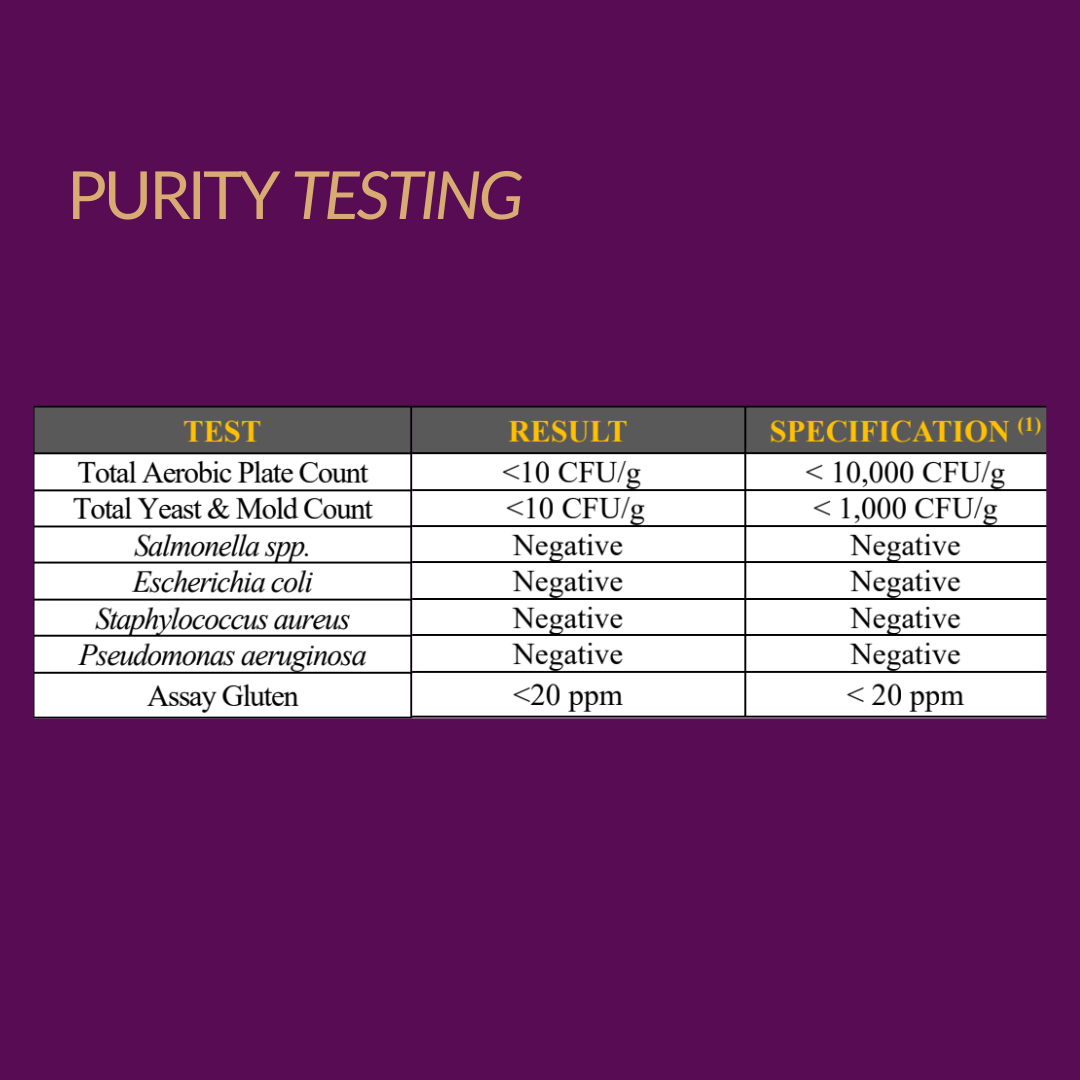 Primeadine® GF Gluten-Free Spermidine Supplement - 3-Bottle Bundle / 90 Day Supply