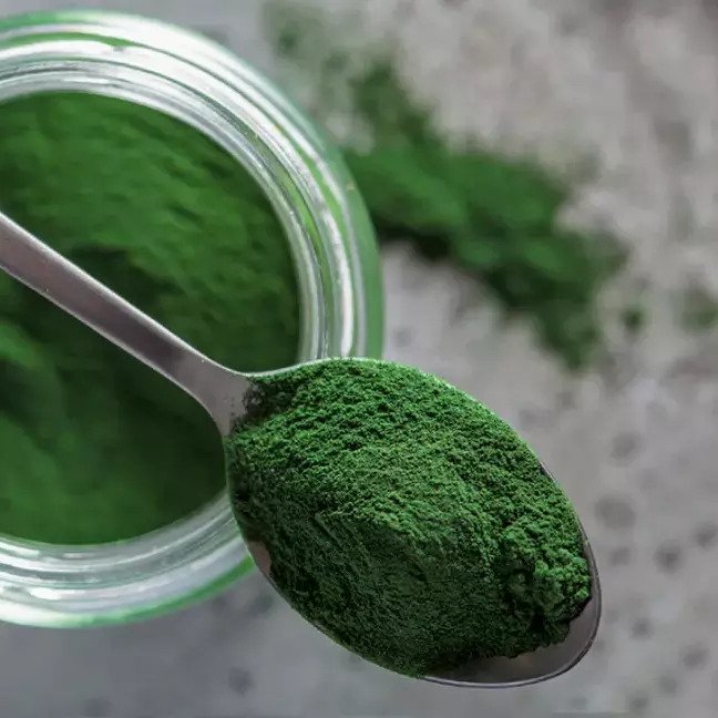 Okinawan Chlorella