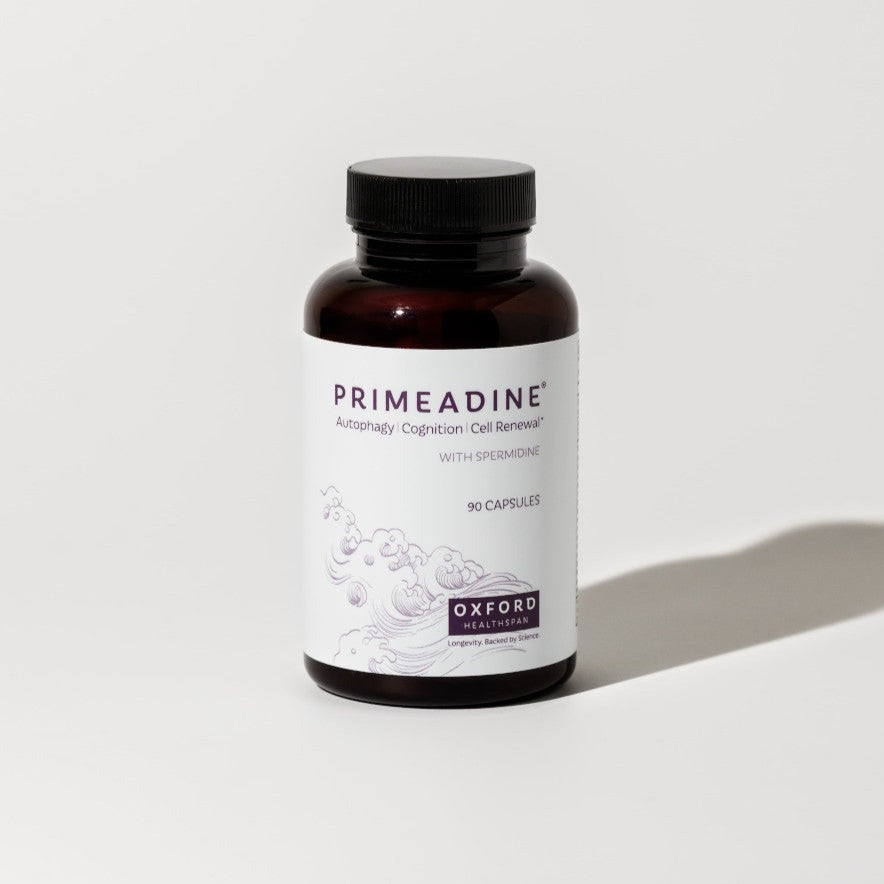 Primeadine® Original Spermidine Supplement - 1 Bottle / 30 Day Supply - Front